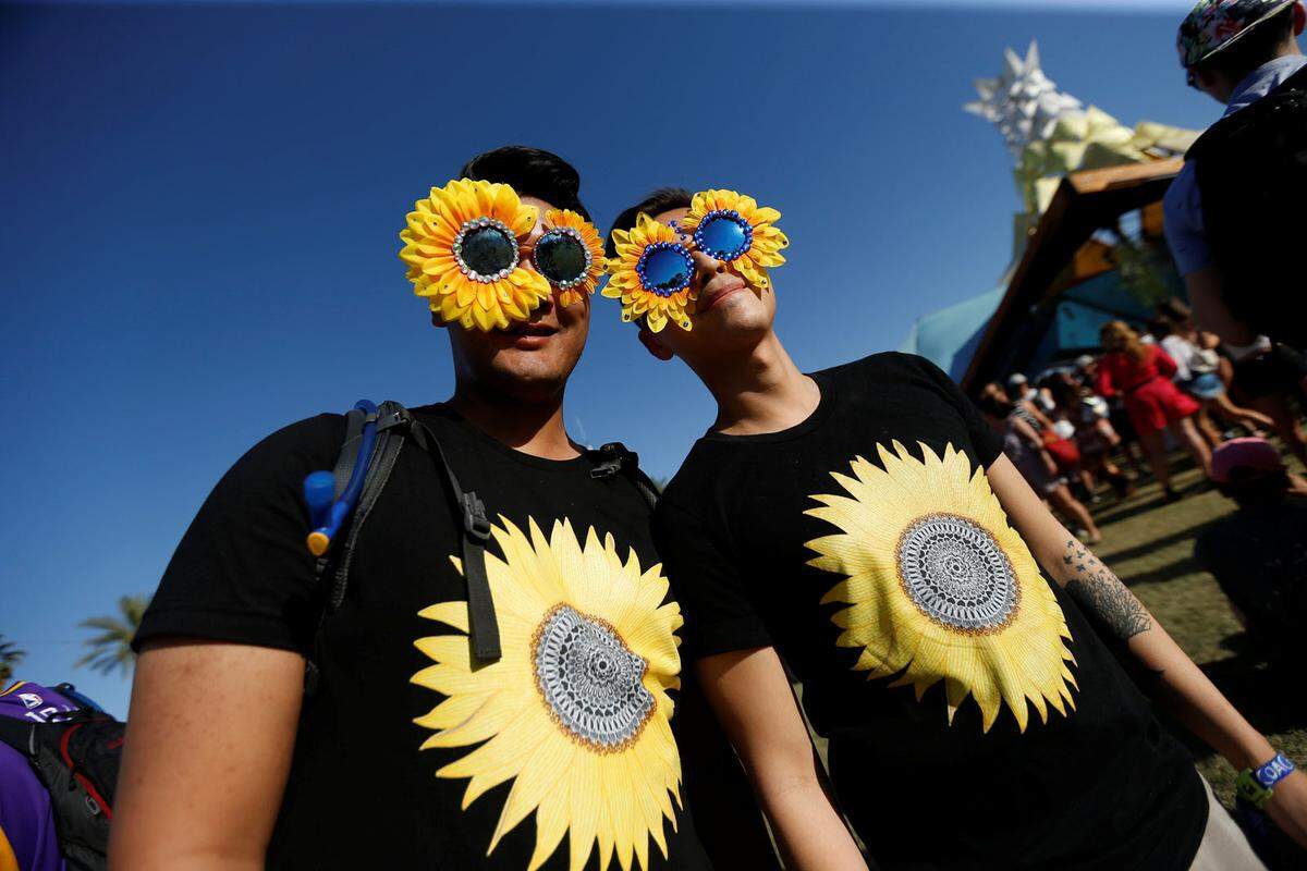 Wenig spannend: Die Sonnenblumen-Fraktion.