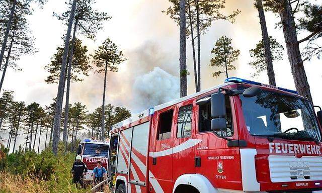 Archivbild: Ein Waldbrand in Niederösterreich im August 2013