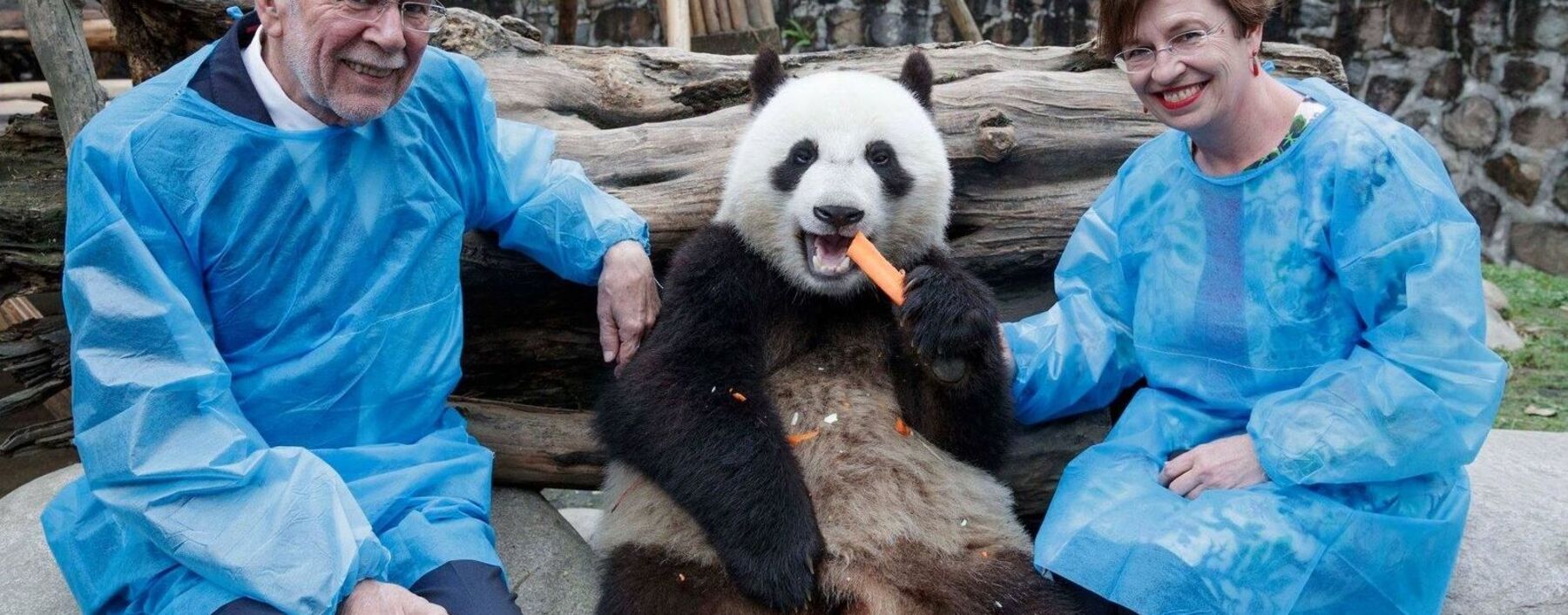 Bundespräsident Alexander van der Bellen und seine Frau Doris Schmidauer mit einem Panda
