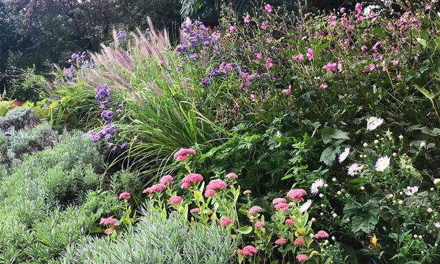 Je besser man einen Garten mit Trockenstauden plant, desto pflegeleichter wird er über die Jahre.