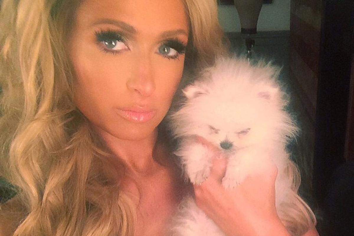 Nach Karl Lagerfelds Katze Choupette und Britney Spears' Hund Hannah, gibt es jetzt auch einen eigenen Instagram-Account für den Zwergspitz Prince. Der kleine Wattebausch ist die jüngste Errungenschaft von Hotelerbin Paris Hilton. Sein Bilderblog wird von mehr als 26.000 Usern verfolgt. 