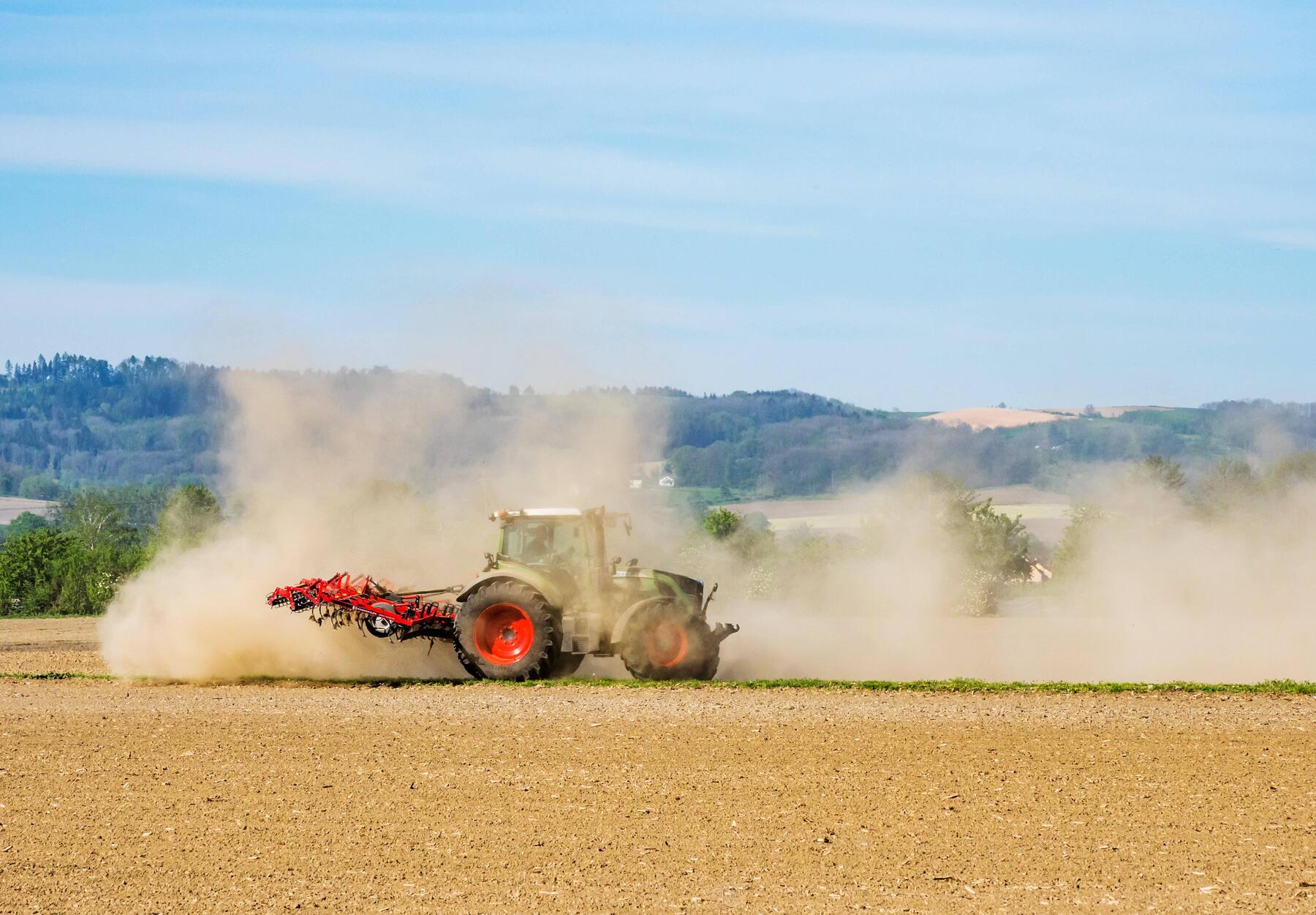 19 Percent Less Grain Than Last Year Expected in Austria
