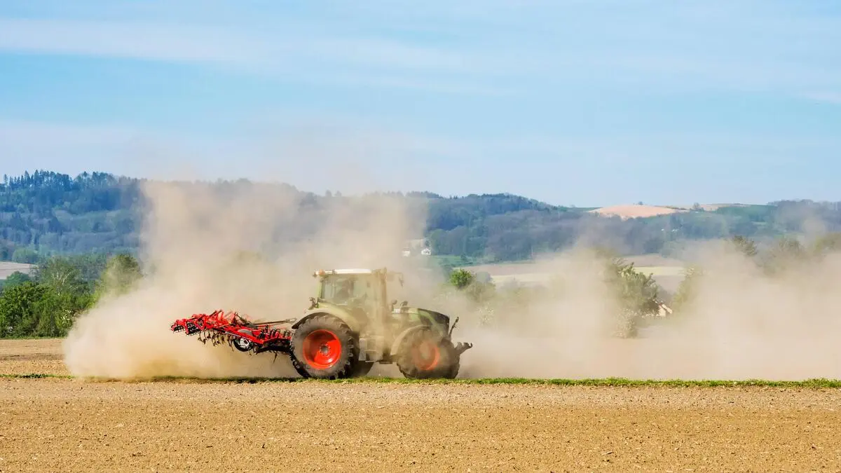 19 percent less grain than last year