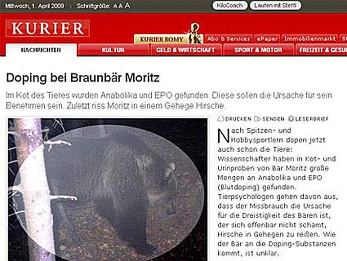 Im Jahr 2009 berichtete die APA, dass der Braunbär Moritz, der im Salzkammergut sein Unwesen getrieben hat, offenbar mit EPO und Anabolika gedopt sei. Tags darauf erscheint die Meldung tatsächlich eins zu eins im Online-"Kurier" - Aprilscherz kopiert oder reingefallen? Jedenfalls ging der Artikel später offline.