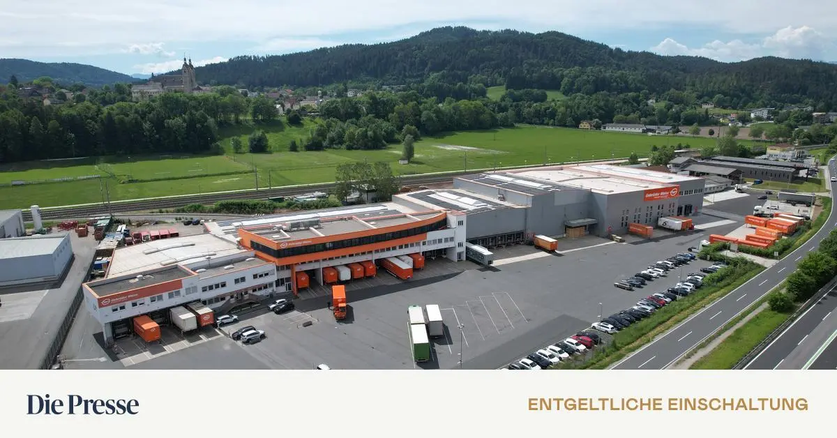 S-dachse-in-Bewegung