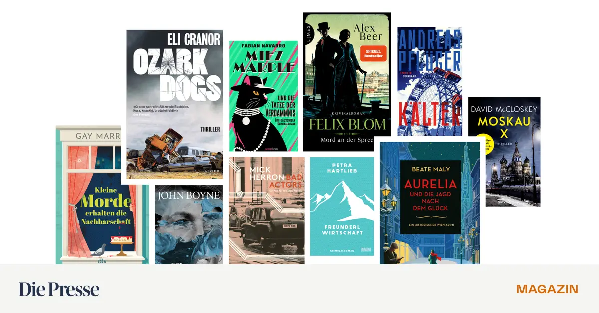 -die-presse-empfiehlt-das-sind-die-besten-krimis-zum-verschenken-und-selberlesen-premium