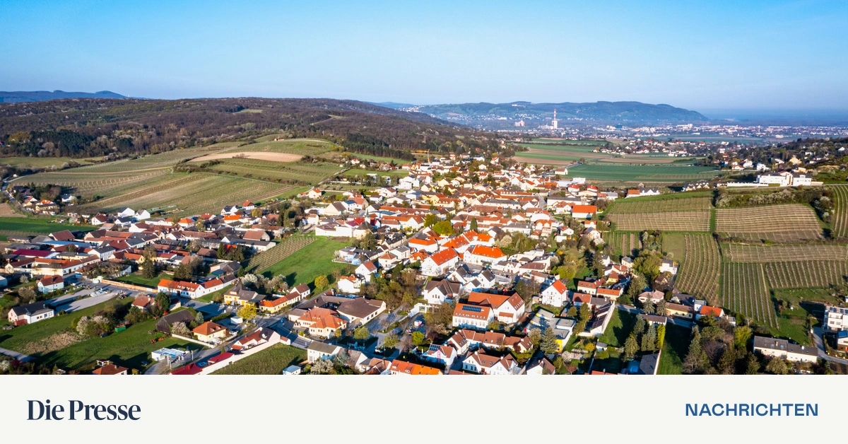 Haus-mit-Garten-Angebotsf-lle-im-Speckg-rtel-Wiens-premium-