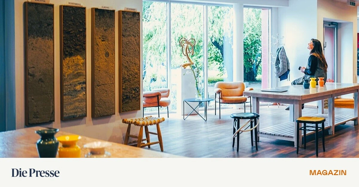 Mit-Wein-und-Weidenbaum-Junge-Winzerin-belebt-historischen-Streckhof-premium-