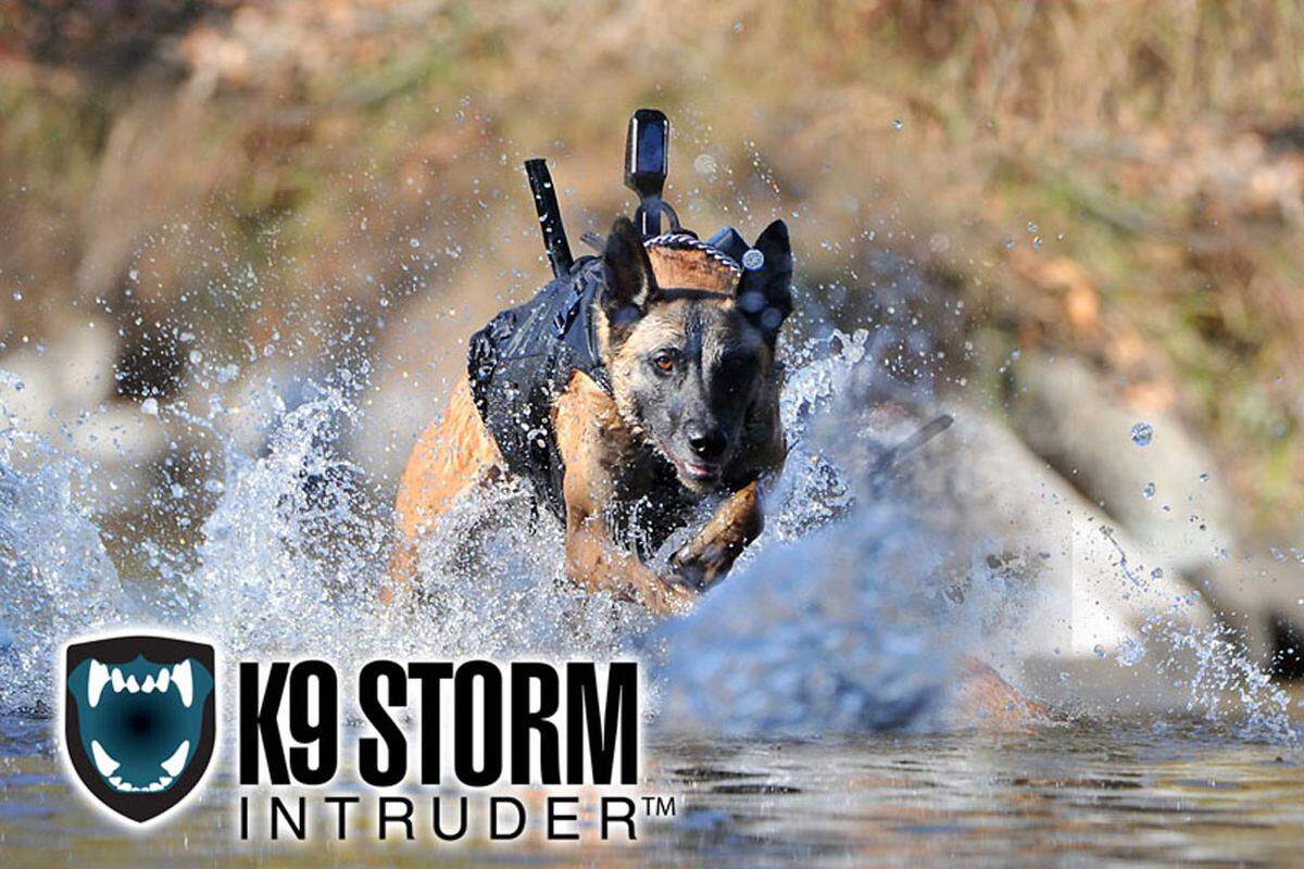 Der belgische Schäferhund "Cairo" war beim Einsatz des "Team Six" der Navy Seals gegen Terrorführer Osama bin Laden dabei und wurde dafür später von US-Präsident Barack Obama getätschelt. Die Hunde der Seals sind darauf trainiert, mit den Soldaten mit Fallschirmen abzuspringen oder aus Hubschraubern abgeseilt zu werden.Bild: Werbebild des Unternehmens "K9 Storm", das die Seals mit Hunde-Kampfausrüstung versorgt.