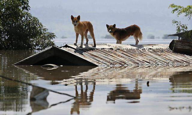 Bis zu den Dächern stehen viele Häuser in Myanmar unter Wasser.