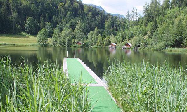 Die Badesaison am Sommersbergsee ist dieses Jahr für viele Urlauber ausgefallen.