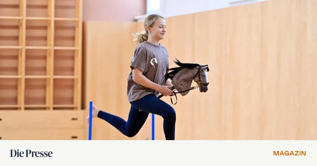 Reiten-ohne-Pferde-premium-