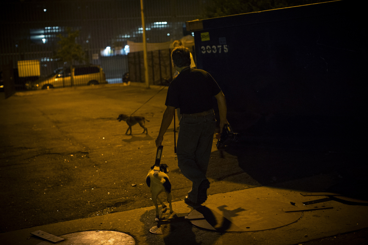 Dem Jagdtrieb der Hunde darf dabei freien Lauf gelassen werden.