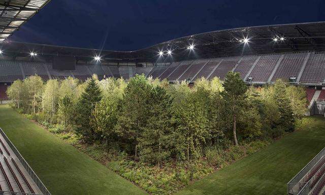 Vielleicht ist Trump über das Klagenfurter Stadion auf den "Austrian Forest" gekommen. Nur hat ihm niemand gesagt, dass das ein Kunstprojekt war.