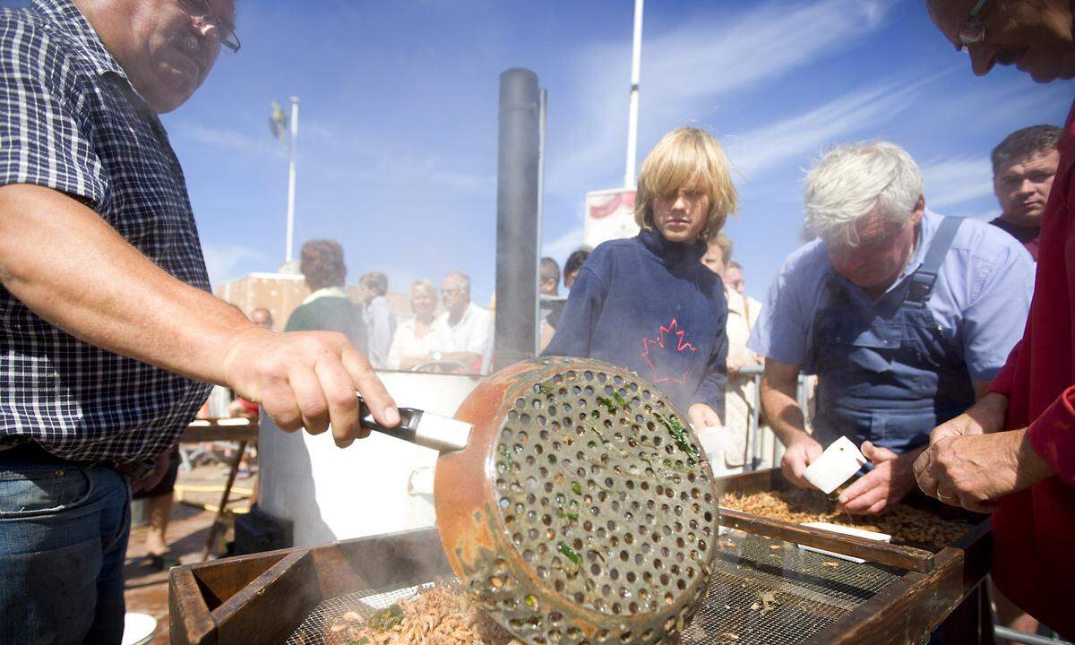 Traditionell waren früher jene Männer Pferdefischer, die ohnehin schon ein Pferd besaßen und es zusätzlich nutzen wollten; Kohlenhändler etwa, erzählt Yvonne König vom Tourismusbüro Oostduinkerke auf Deutsch. Heute gibt es Pferdefischer mit absolvierter Lehrzeit und bestandener Prüfung, die im Hauptberuf eine „Frituur“-Bude besitzen. Und für besondere Gäste dann Kroketten aus den selbst hoch zu Ross gesammelten Krabben frittieren. 