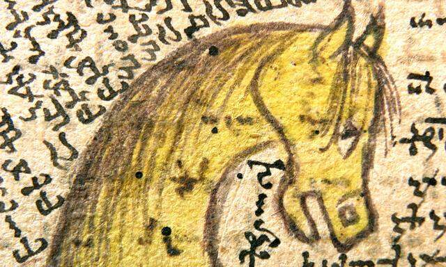 Dieses Bild stammt aus einer zentralen armenischen Pferdehandschrift vom Beginn des 16. Jahrhunderts. 