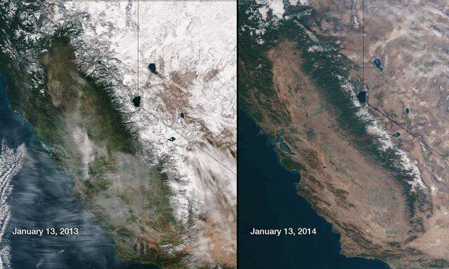 Dürre in Kalifornien: Gouverneur ruft Notstand aus 