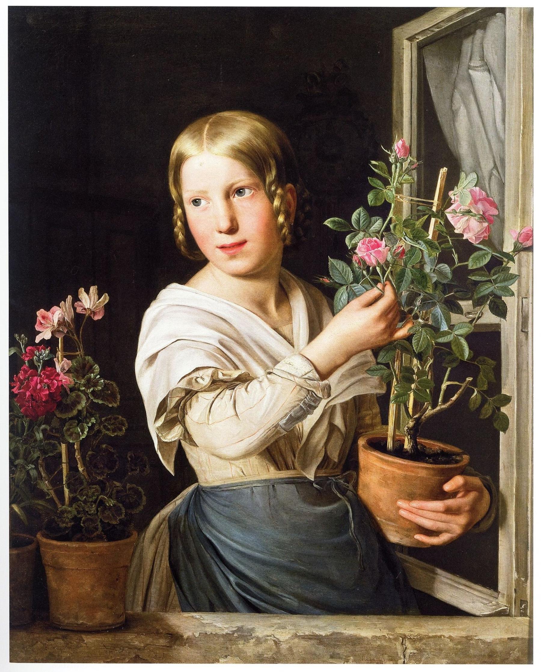 Colonial history and houseplants – Diepresse.com