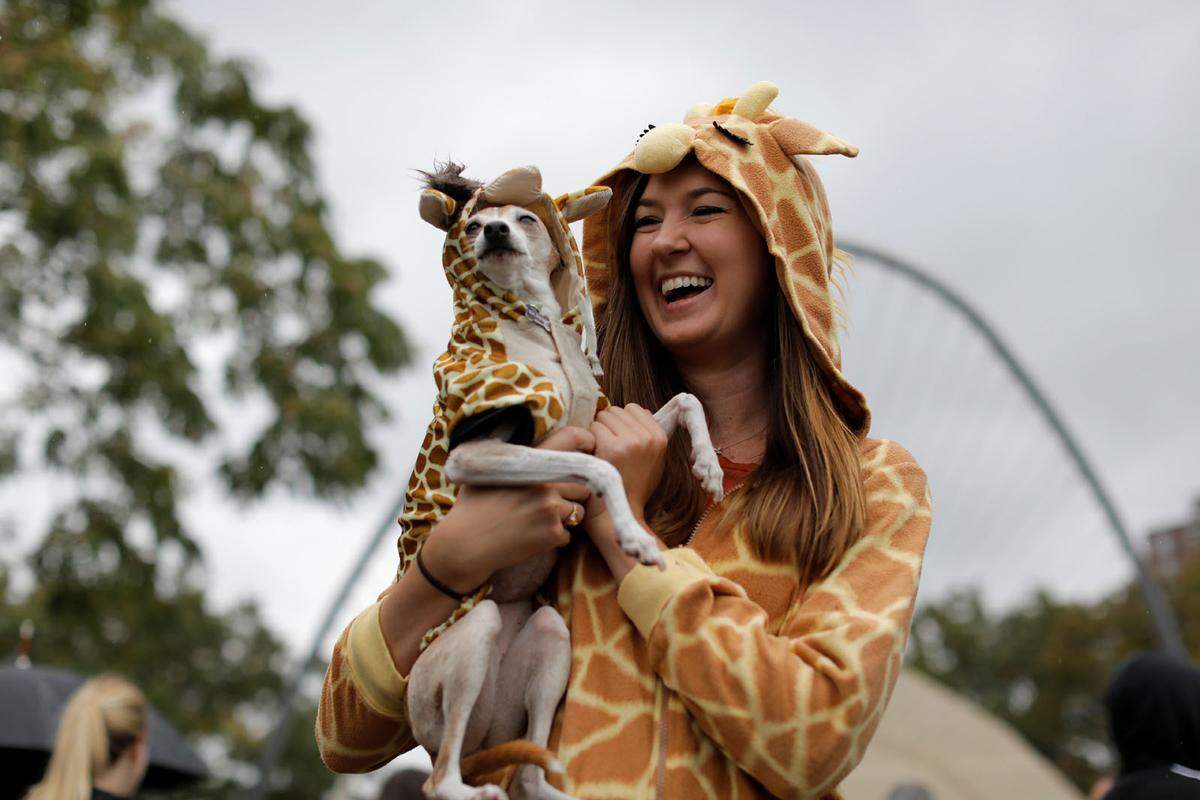 Zwei Giraffen haben ihren Spaß. Hündchen Nana und ihre Besitzerin Marcie Walker.