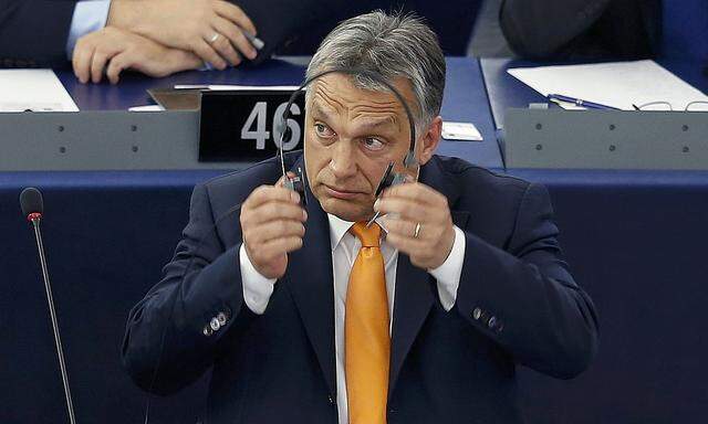 Viktor Orbán muss sich mit Vorwürfen gegen seinen Schwiegersohn auseinandersetzen.