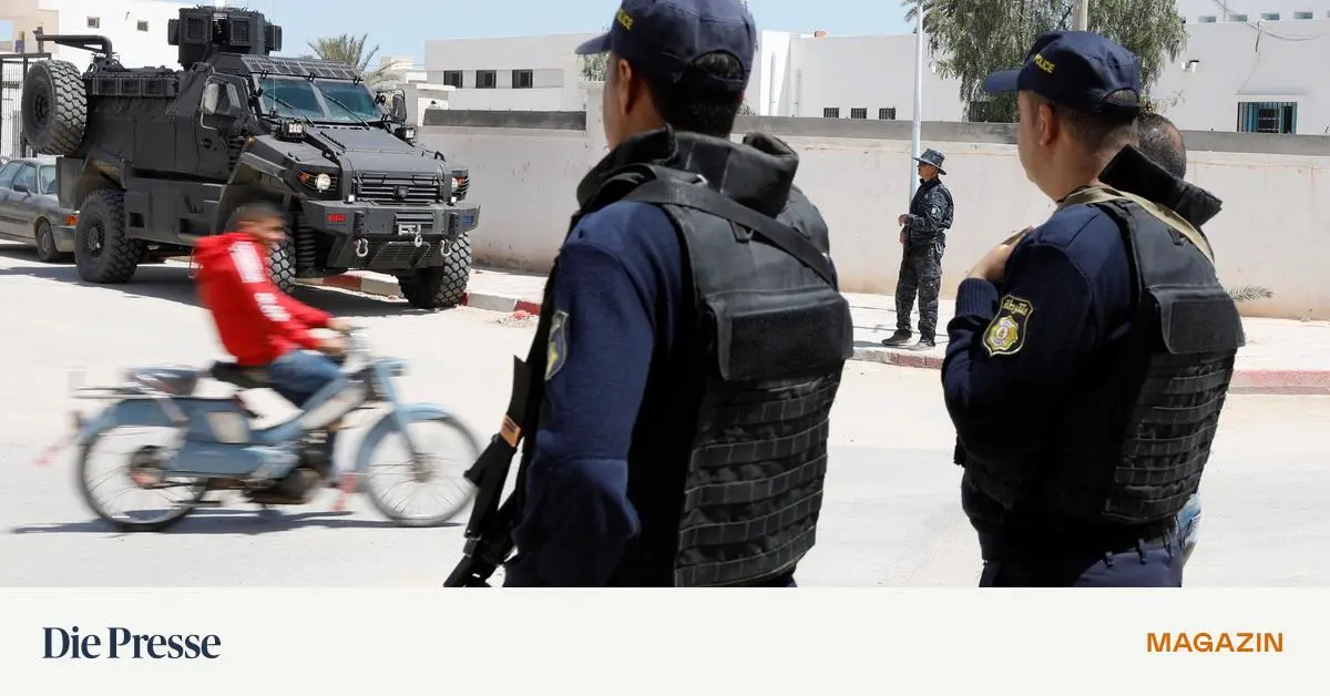 Kein-Gro-auftrag-in-Tunesien-f-r-Steyr-Arms-und-ein-weiterer-im-Irak-wackelt-premium-