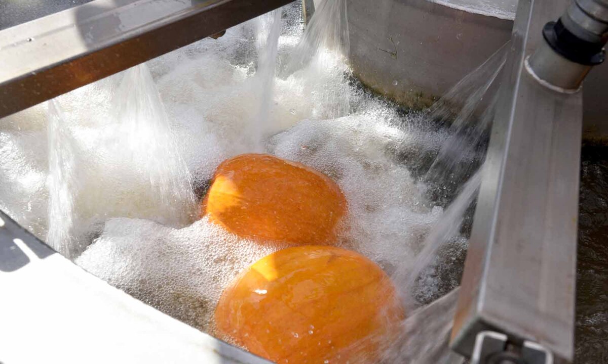 Die Hausherrin nennt die Anlage aufgrund der vielen Düsen, Büsten und Sprudel auch gern "Kürbiswellnessanlage".