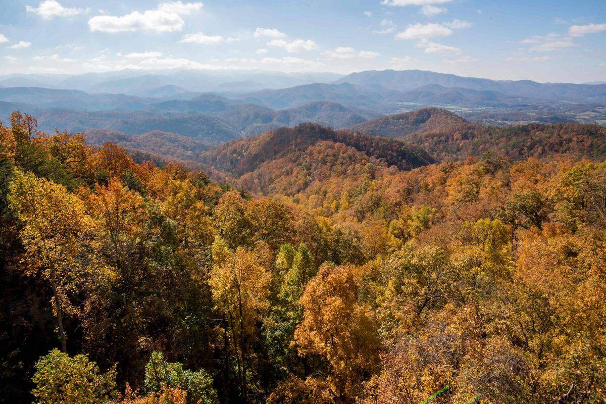 Bei den Great Smoky Mountains handelt es sich um Amerikas meistbesuchten Nationalpark, der Teil des UNESCO International Biosphere Reserve ist. Ein Highlight sind Schwarzbären, hier gibt es die größte Population im Osten der USA. Der Anstieg der Buchungen betrug 191 Prozent, die Suchanfragen stiegen um 190 Prozent.