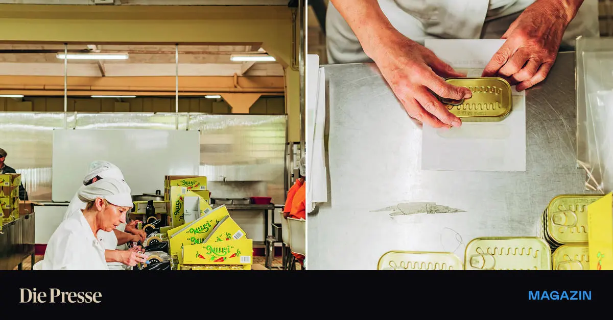 Finger-Schere-Puppenflie-band-Woher-die-gehypten-Nuri-Sardinen-kommen-premium-