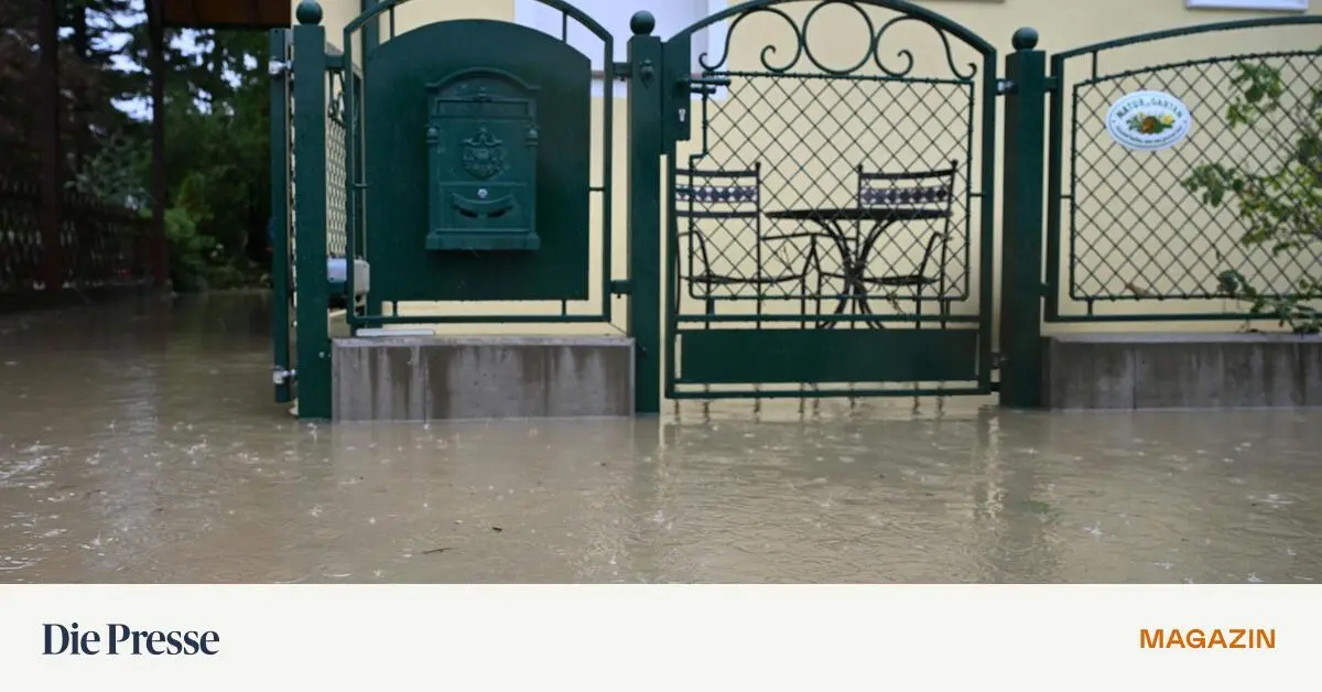 In-der-Katastrophe-darf-die-Pflege-nicht-leiden-premium-