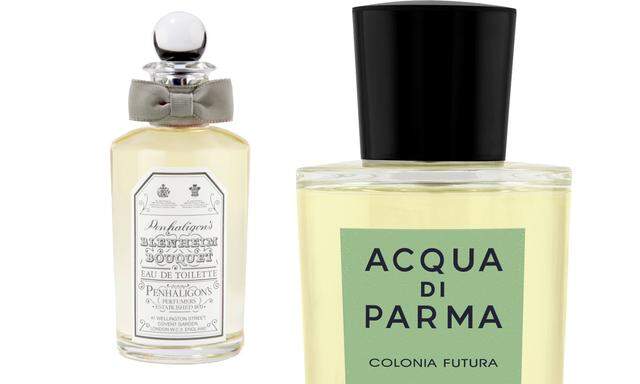 Gewürzstrauß. „Colonia Futura“ von Acqua di Parma (50 ml um 76 Euro), „Blenheim Bouquet“ von Penhaligon’s (50 ml um 91 Euro).