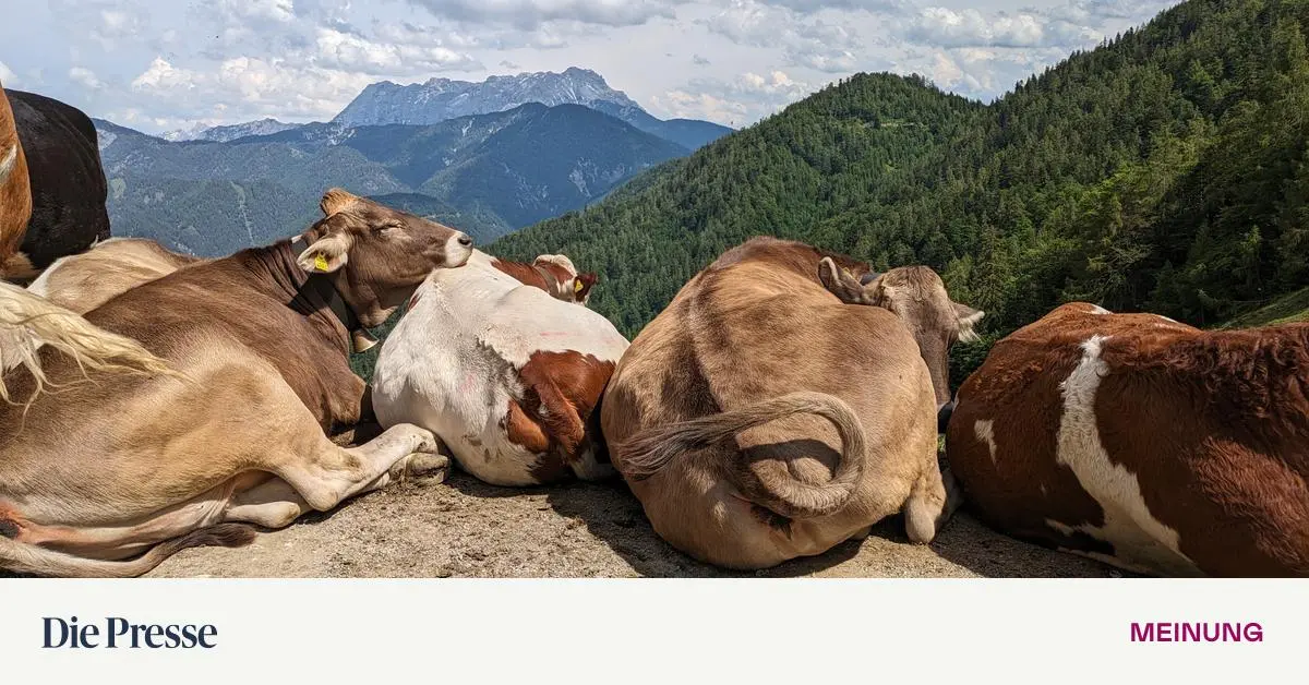 Auf-der-Alm-da-braucht-es-Abstand-premium-