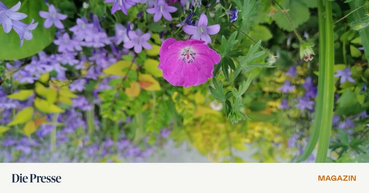 K-hlung-integriert-Wie-man-Fassaden-richtig-begr-nt-premium-