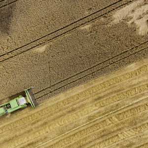 Themenbild: Rohstoffe