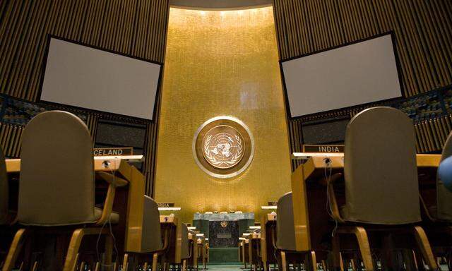 Abrüstung und Menschenrechte sind derzeit Österreichs Topthemen in der UNO.