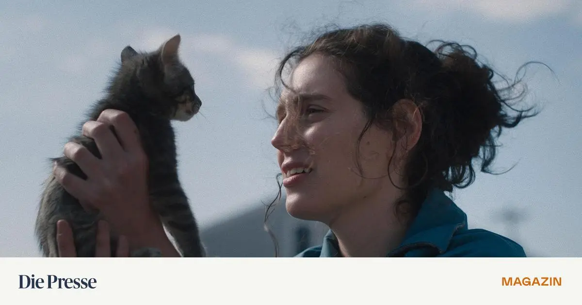 -Sorry-Baby-Ein-Film-ber-das-Weiterleben-nach-dem-bergriff-premium-