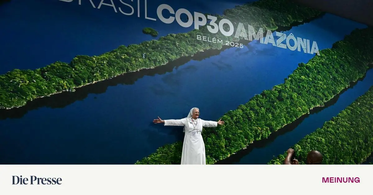 Das-Klima-und-die-Planwirtschaft-premium-