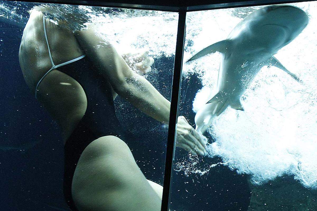 Die Schwimmerin Fabienne Nadarajah wagt einen Sprung ins Haibecken des "Haus des Meeres" in einem ehemaligen Flakturm im Wiener Esterhazy-Park.