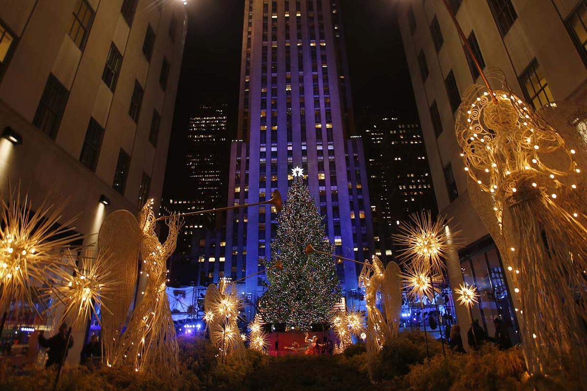 Der diesjährige Baum - eine etwa 27 Meter hohe Fichte - stammt übrigens aus dem US-Bundesstaat New Jersey. Bis vor kurzem stand er noch im Garten von Joseph Balku aus dem kleinen Ort Flanders, wo ein Team des Rockefeller Centers ihn entdeckte, als es sich auf dem Rückweg nach New York verfuhr.