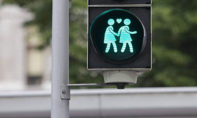 Austria Vienna green pedestrian light same sex couple PUBLICATIONxINxGERxSUIxAUTxHUNxONLY WL00002