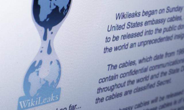 Wikileaks beklagten geringe Leistungen