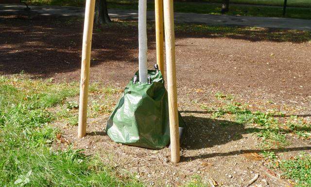 Behübschung sieht anders aus: ein Wiener Gießsack.