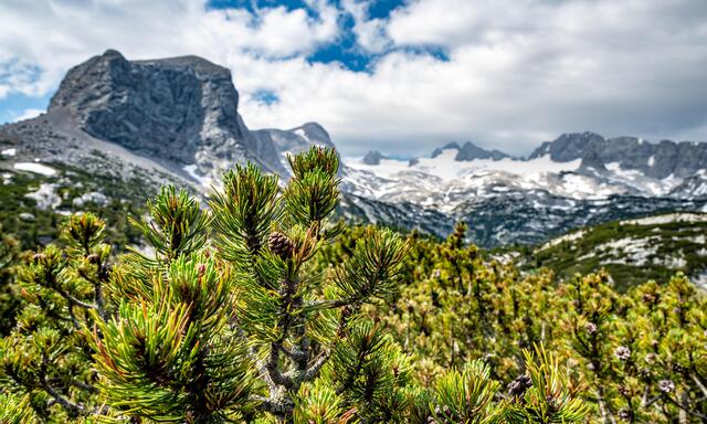 Blick auf den Hallstätter Gletscher am Dachstein.