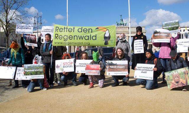 Rettet den Regenwald Deutschland Berlin 18 04 2016 Demo gegen Vernichtung des Regenwaldes anl d