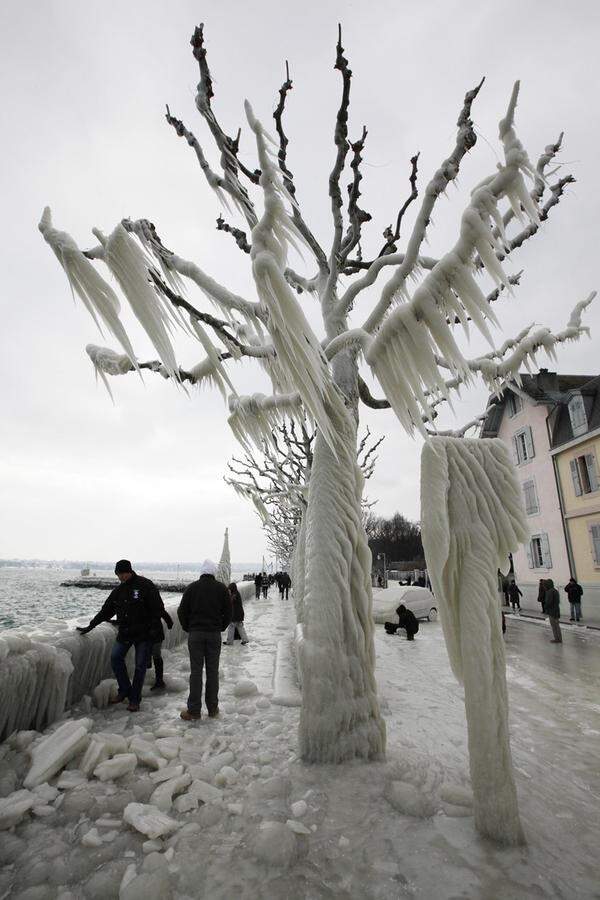 Uferpromenade in Versoix.