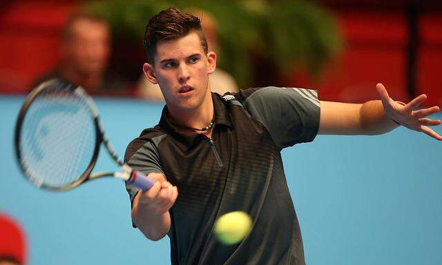 TENNIS - ATP, Erste Bank Open 2014