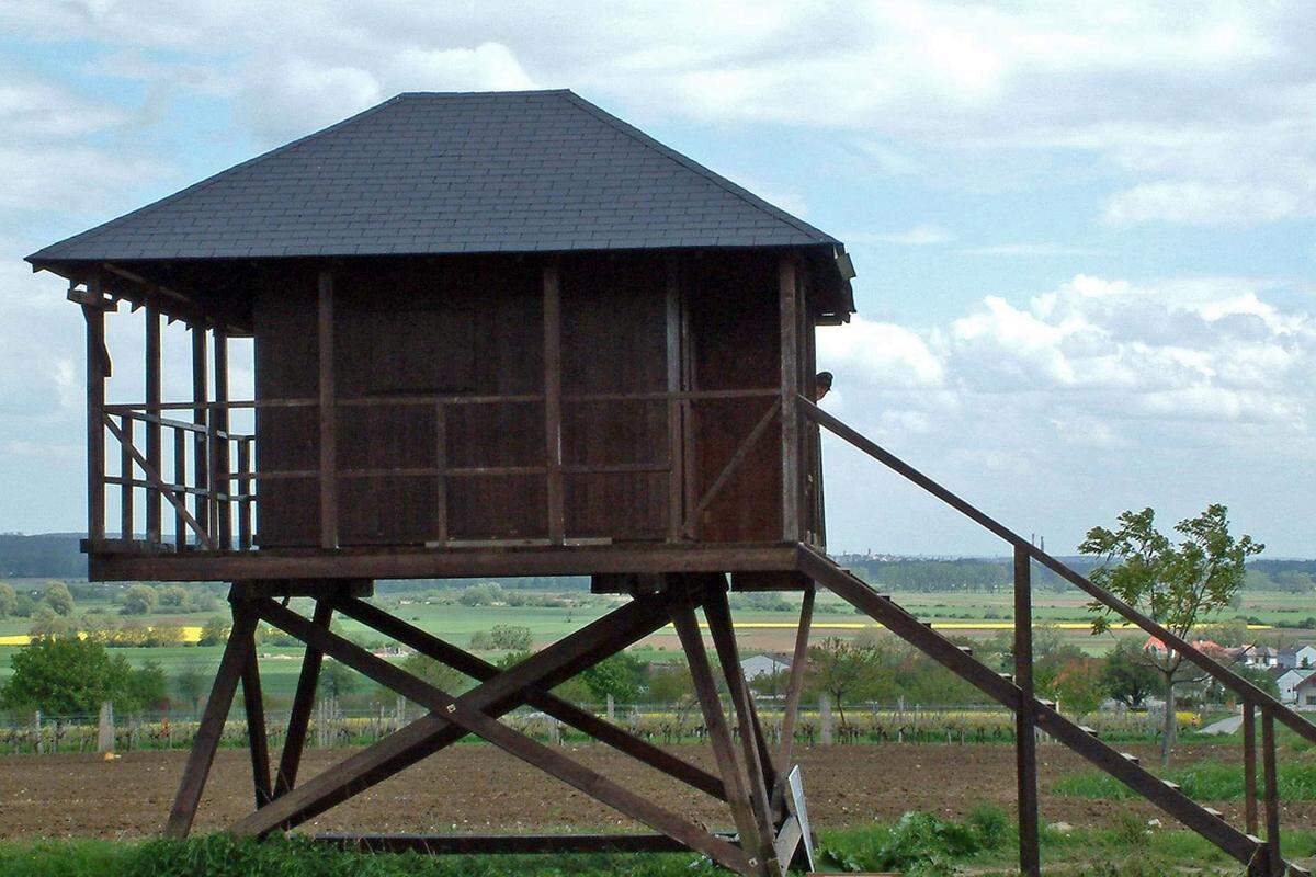 Zum Schutz gegen Wind, Regen und Schnee wurden Zollwachhütten übernommen und für eine bessere Übersicht Container und Hochstände errichtet. Am Ende des Assistenzeinsatzes direkt an der Grenze im Jahr 2007 verfügte das Bundesheer über drei Beobachtungscontainer, 146 Zollwachhütten und 55 Hochstände.Und noch ein Detail am Rande: Es wurden vier Mio. Rollen Klopapier verbraucht - damit könnte man den Äquator dreimal umwickeln.