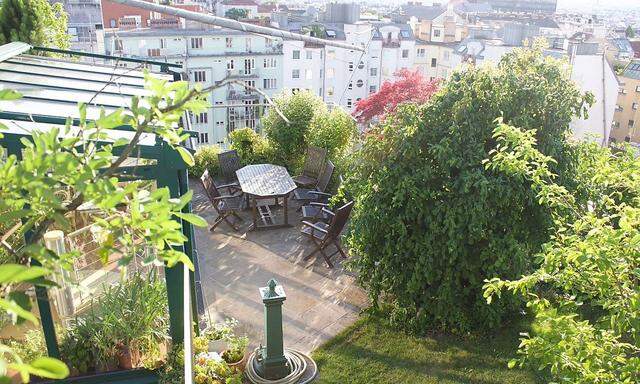 Begrünte Dachterrasse in Wien.