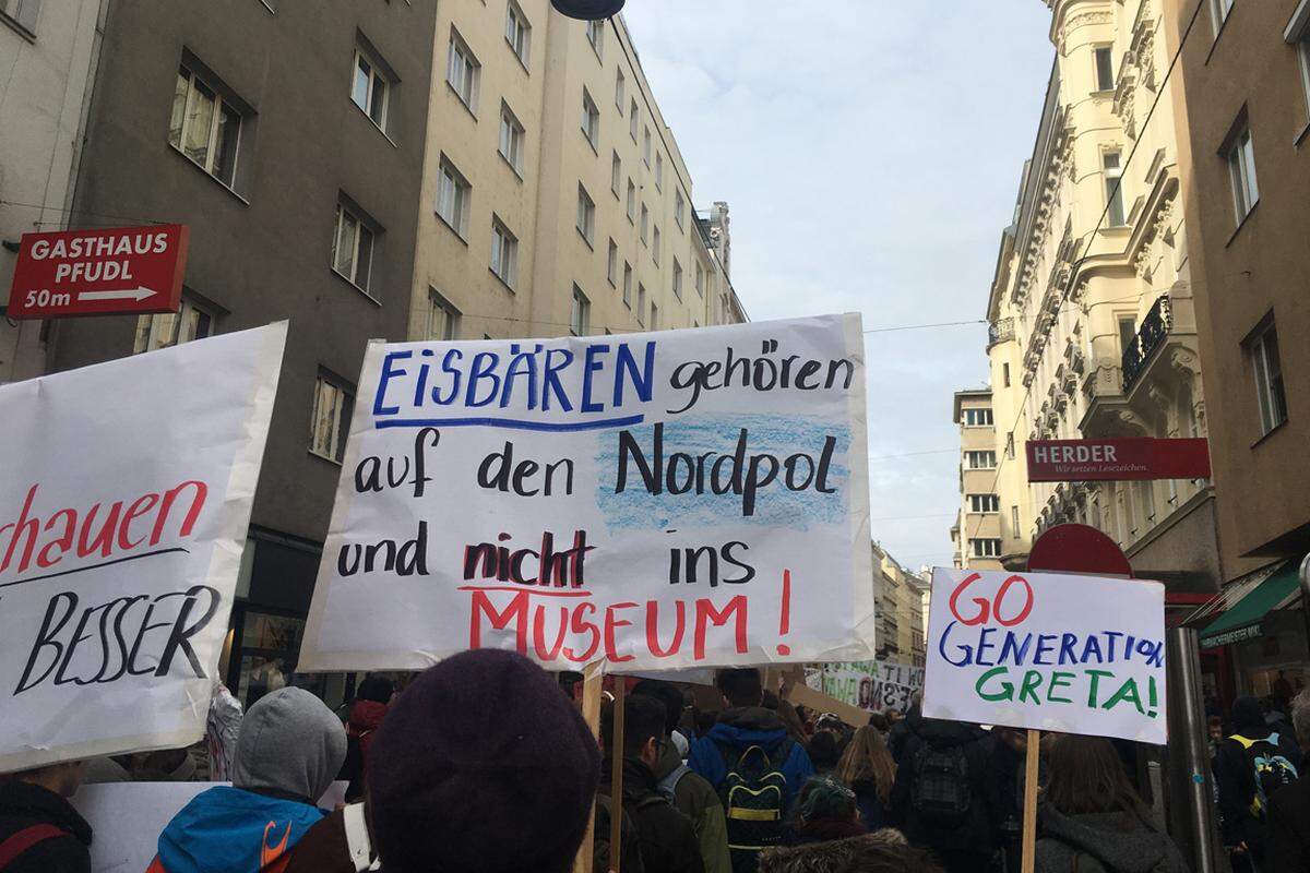 Die Eisbären wurden auf den Plakaten mehr als ein Mal als Beispiel verwendet. Was den Schülern jedenfalls gelungen ist: Ihre Appelle recht eindrücklich zu machen.