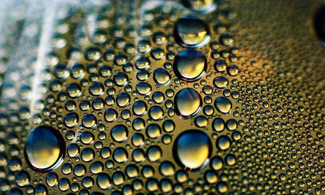 Wassertropfen - water drops