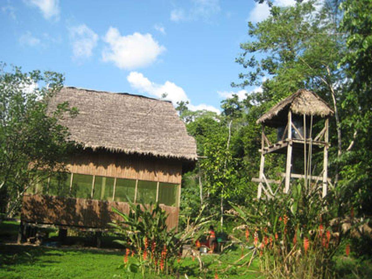 Die Lodge ist ein verträumter Ort mitten im Regenwald-Nichts oder Regenwald-Alles …